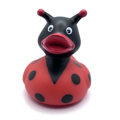 Ladybug Duck