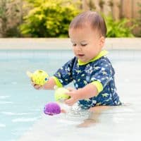 Mini Pufferfish Splash Balls