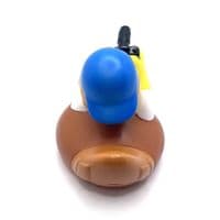 Photographer Duck