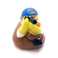 Photographer Duck