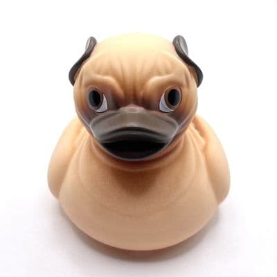 Pug Dog Duck