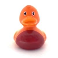Rainbow Duck