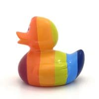 Rainbow Duck