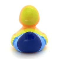 Rainbow Duck