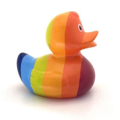 Rainbow Duck