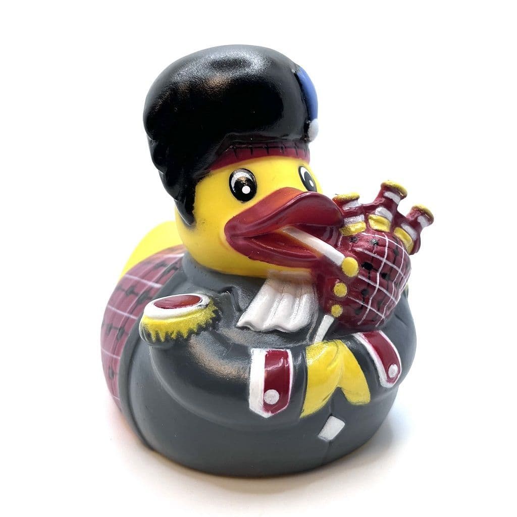 Scotsman Duck