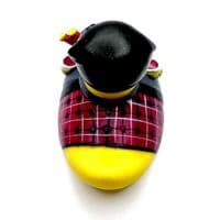 Scotsman Duck