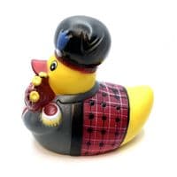 Scotsman Duck