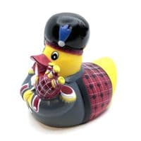 Scotsman Duck