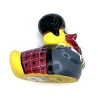 Scotsman Duck