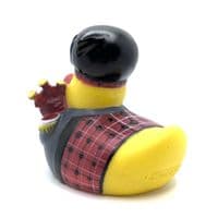Scotsman Duck
