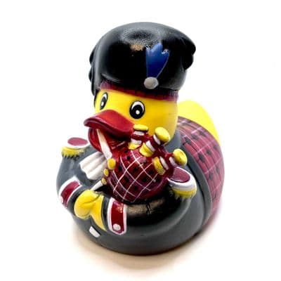 Scotsman Duck