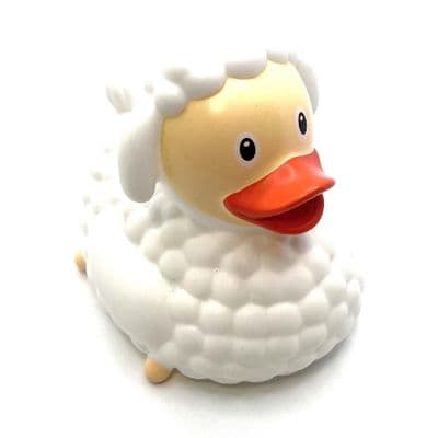 Sheep Duck