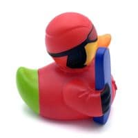 Snowboarder Duck