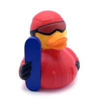Snowboarder Duck