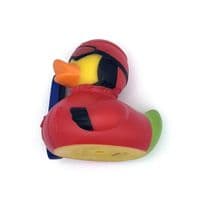 Snowboarder Duck