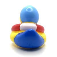Swimmer Duck