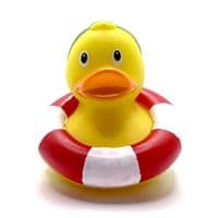 Swimmer Duck