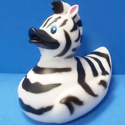 Zebra Duck