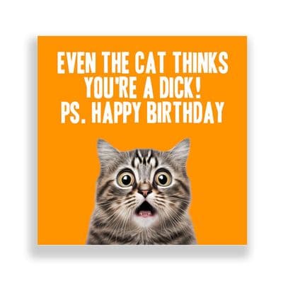 Funny Birthday Card  | Happy Birthday Even The Cat Thinks You're a  Dick!