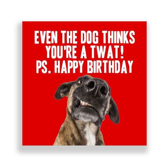 Funny Birthday Card  | Happy Birthday Even The Dog Thinks a Twat!