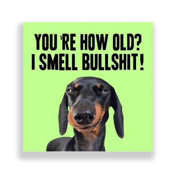 Funny Birthday Card  | You're How Old? I Smell Bullshit!