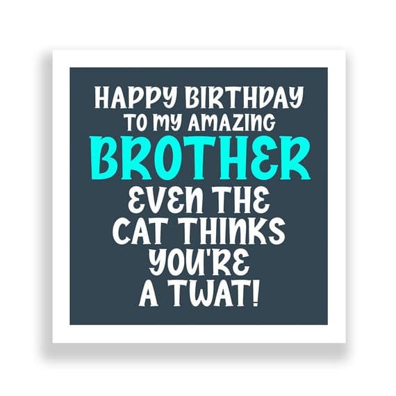 Funny Brother Birthday Card  | Even The Cat Thinks Your a Twat!