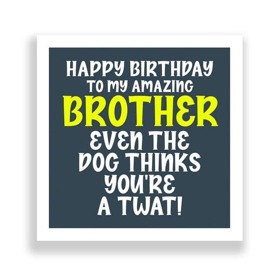 Funny Brother Birthday Card  | Even the Dog Thinks You 're a Twat!