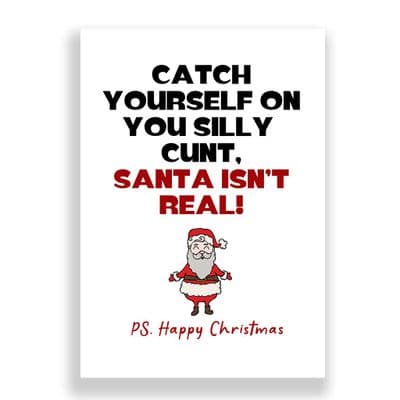 Funny  Christmas Card | Catch yourself on you silly cunt Santa isn't real!