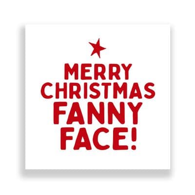 Funny  Christmas Card | Merry Christmas Fanny Face