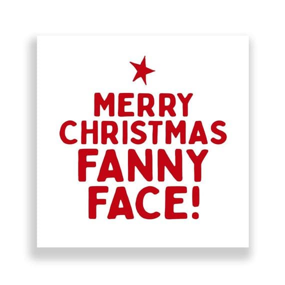 Funny  Christmas Card | Merry Christmas Fanny Face