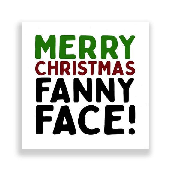 Funny  Christmas Card | Merry Christmas Fanny Face