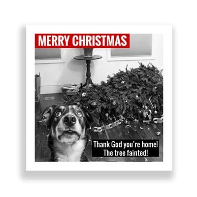 Funny  Christmas Card | Thank God You're Home! The Tree Fainted | Dog