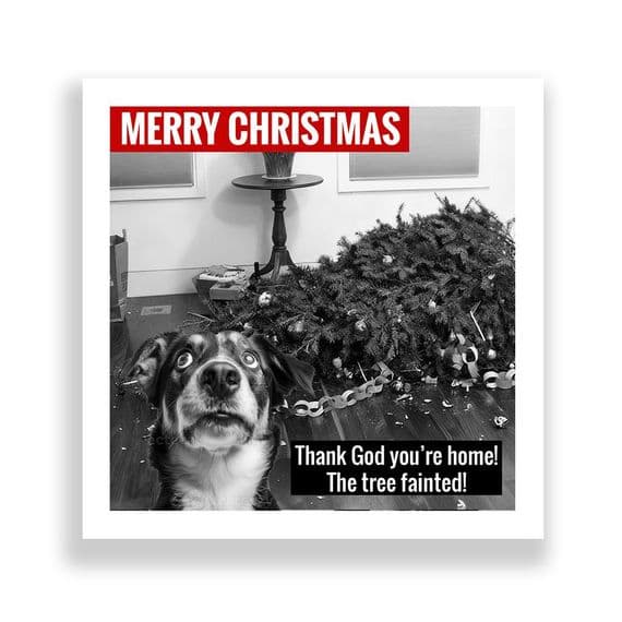 Funny  Christmas Card | Thank God You're Home! The Tree Fainted | Dog