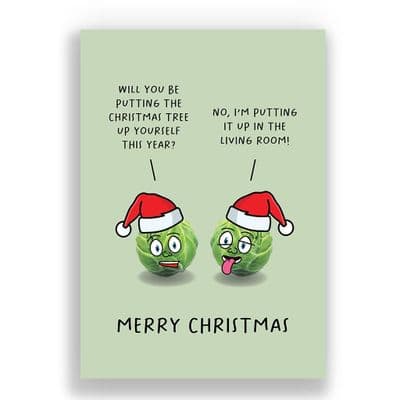 Funny  Christmas Card | Where Are You Putting Christmas Tree?