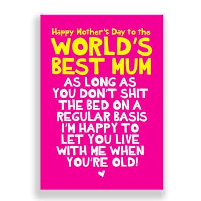 Funny  Mother's Day Card | Shit The Bed!