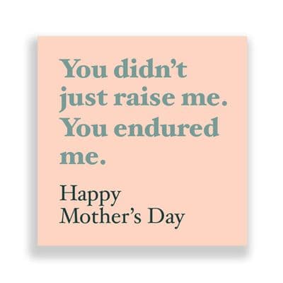 Funny  Mother's Day Card | You didn't just raise me you endured me.