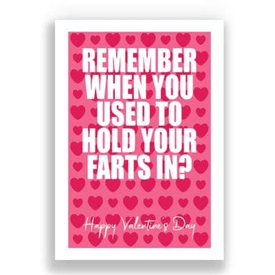Valentines Card | Remember when you used to hold your farts in!