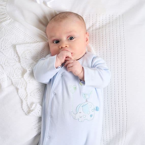 Blue elephant and bird cotton sleepsuit