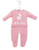 Pink Reindeer  top & leggings