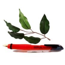 Berol Handwriting Fountain Pen with Blue Ink for Children