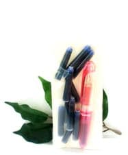 Papermate Handwriting Fountain Pen Mini Size + Free Cartridges