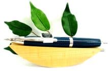 Pilot Capless Vanishing Point Retractable Fountain Pen Carboneque Blue/Chrome