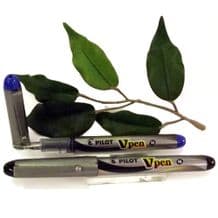 Pilot V Fountain Pen Disposable Medium Nib Black or Blue Ink SVP-4M