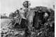 29th Armd Bde, Set 2 - 3 RTR