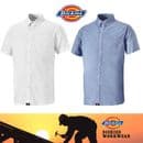DICKIES OXFORD Men's Premium Short Sleeve Shirt • Workwear • Blue or White