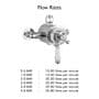Traditional Thermostatic Concentric Exposed Shower Mixer Valve Chrome 1 Outlet