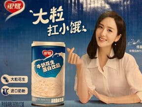 银鹭牛奶花生蛋白饮品（12罐一箱）