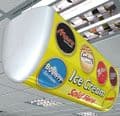 Freelight Plus - Suspended Lightbox