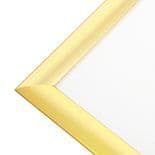 Gold snapframes